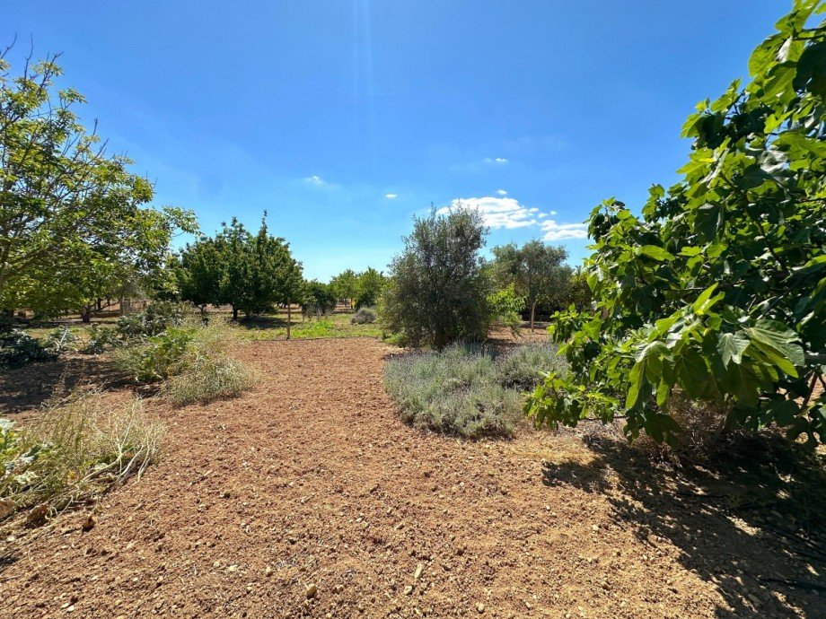 Garten Haus Inca