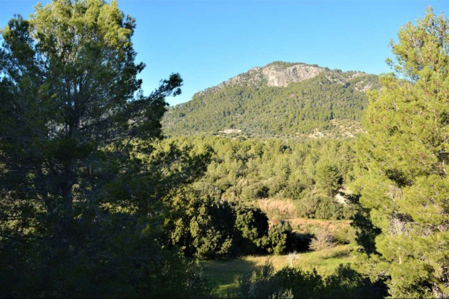 Ausblick Tramuntana Gebirge Einfamilienhaus Selva