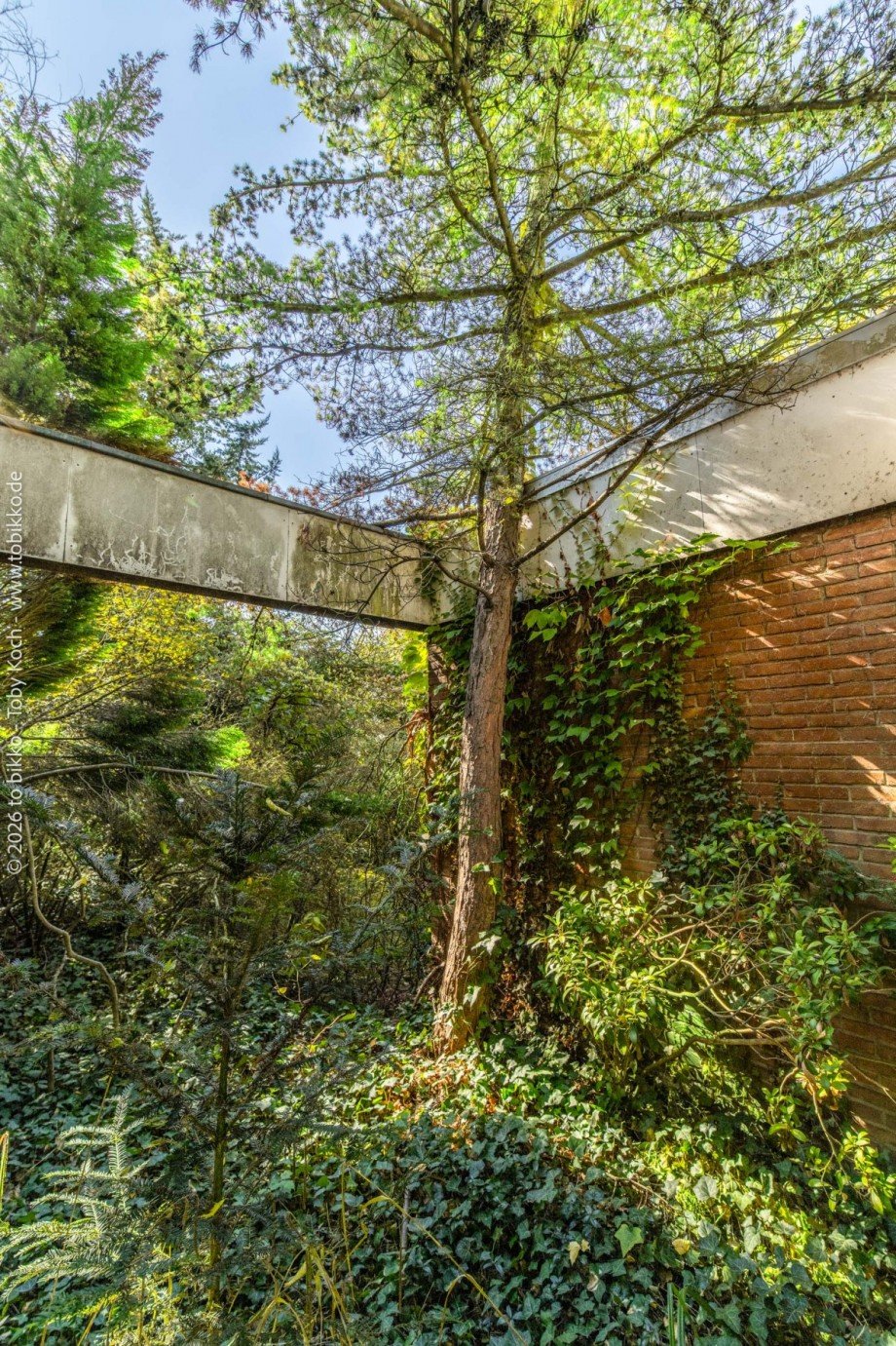 Au�enanlage Villa Neu-Isenburg