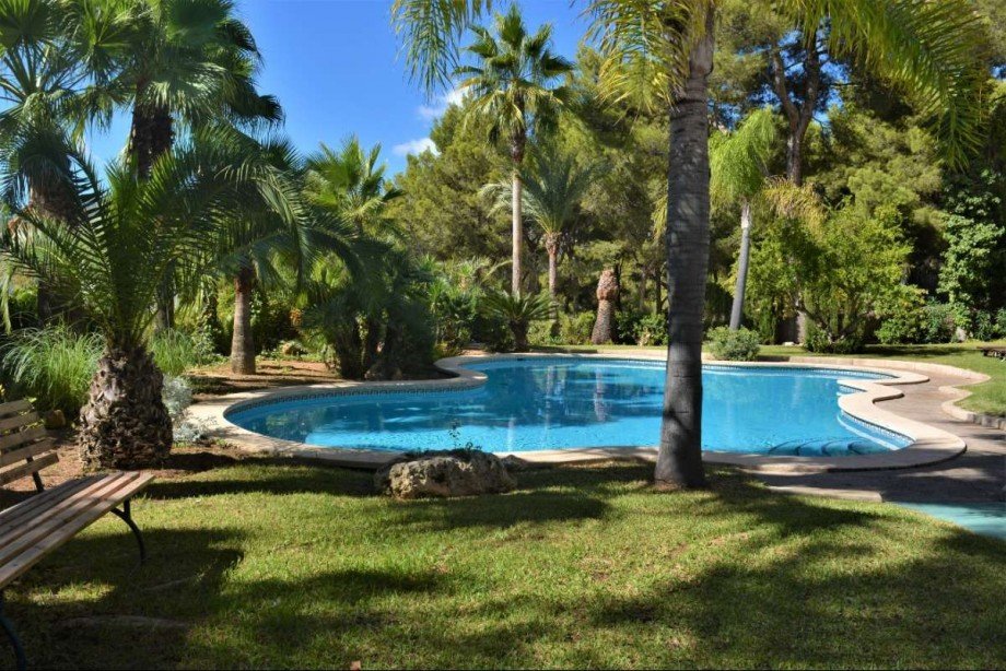 Poolanlage Wohnung Portals Nous