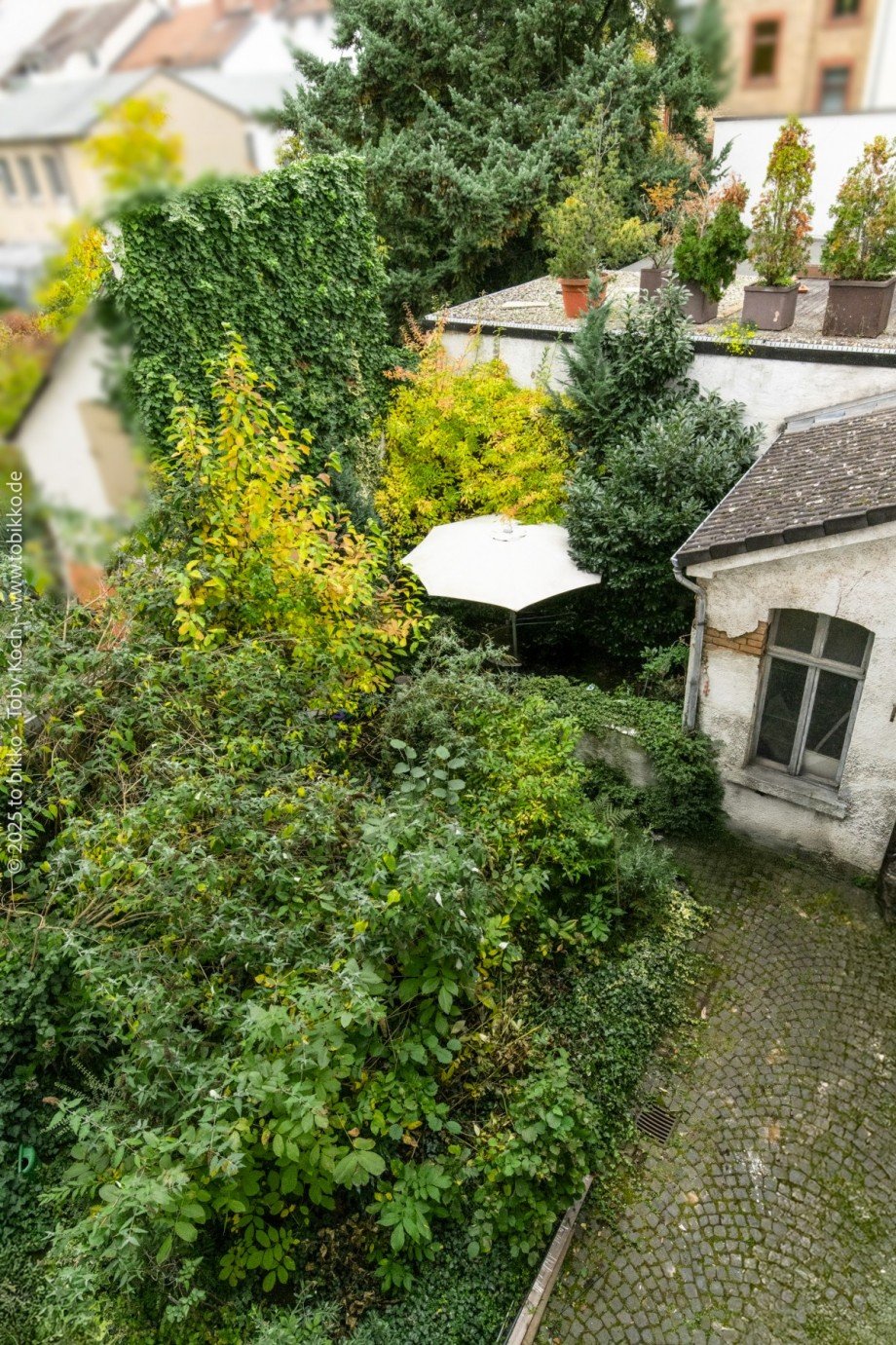 Ausblick Mehrfamilienhaus Frankfurt am Main