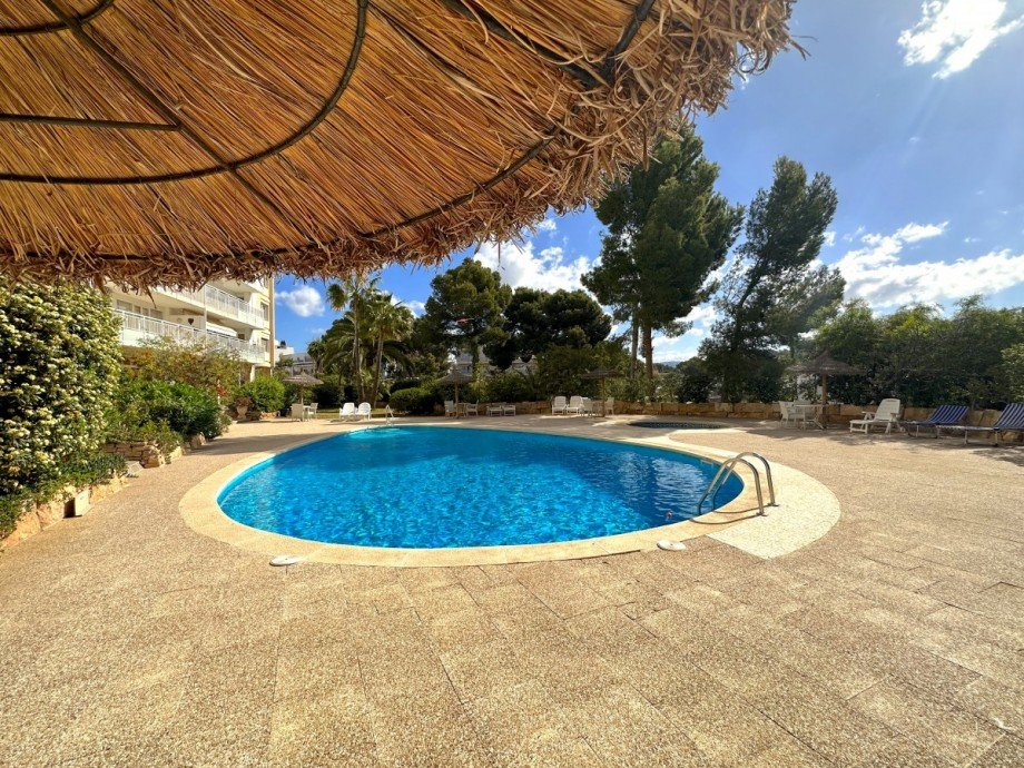 Pool Etagenwohnung Peguera